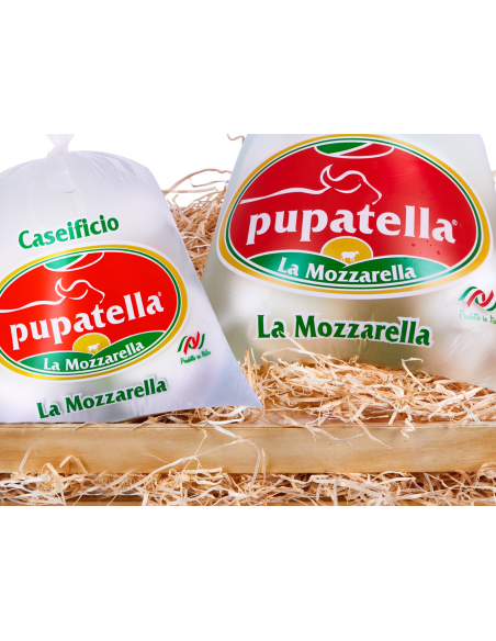 Box Mascalzone latino