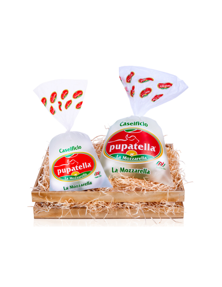 Box Mascalzone latino